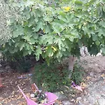 Kerry's Evia Island House