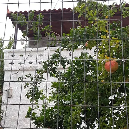 Kerry's Evia Island House בית נופש Tsakei