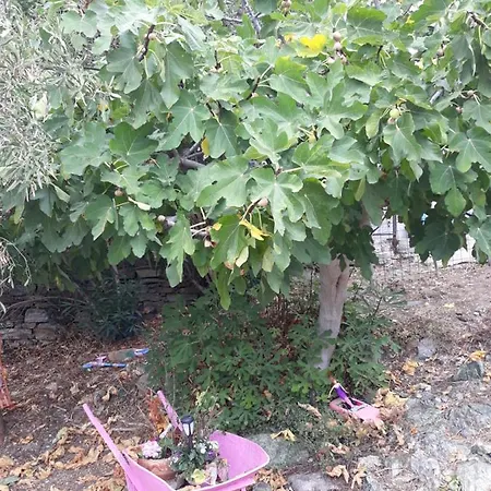 Kerry's Evia Island House