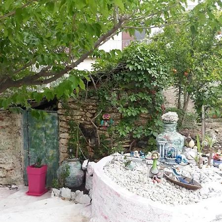 Kerry's Evia Island House Ferienhaus Tsakei